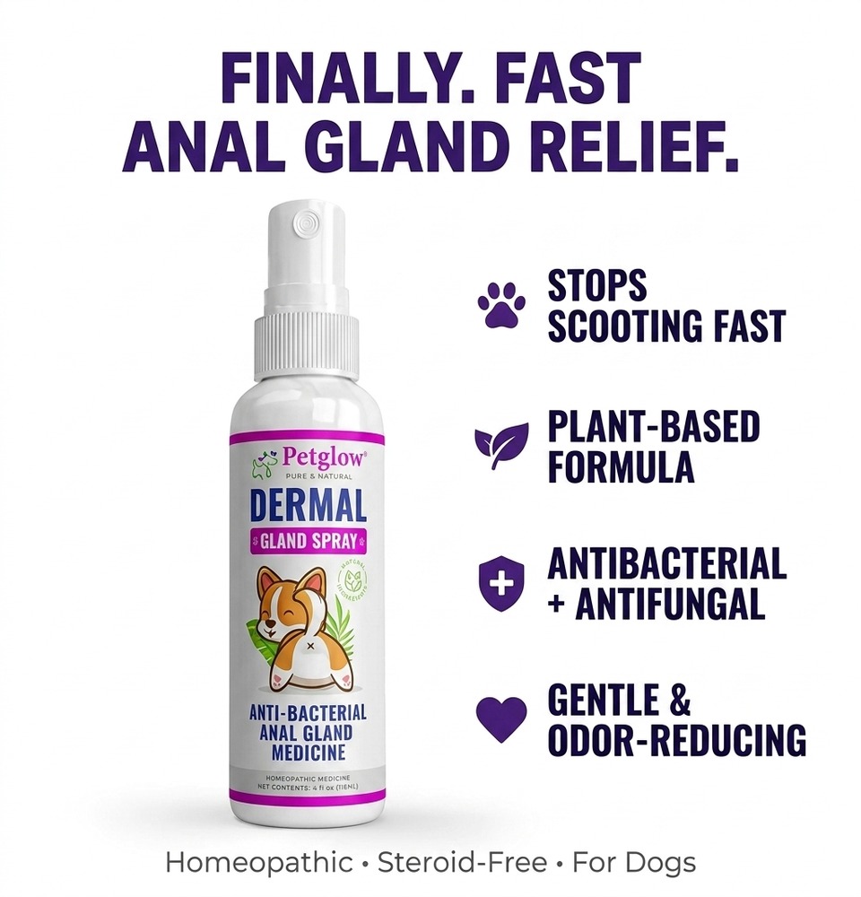 Fast anal gland relief for dogs — stops scooting, plant-based formula, antibacterial and antifungal, gentle odor-reducing spray