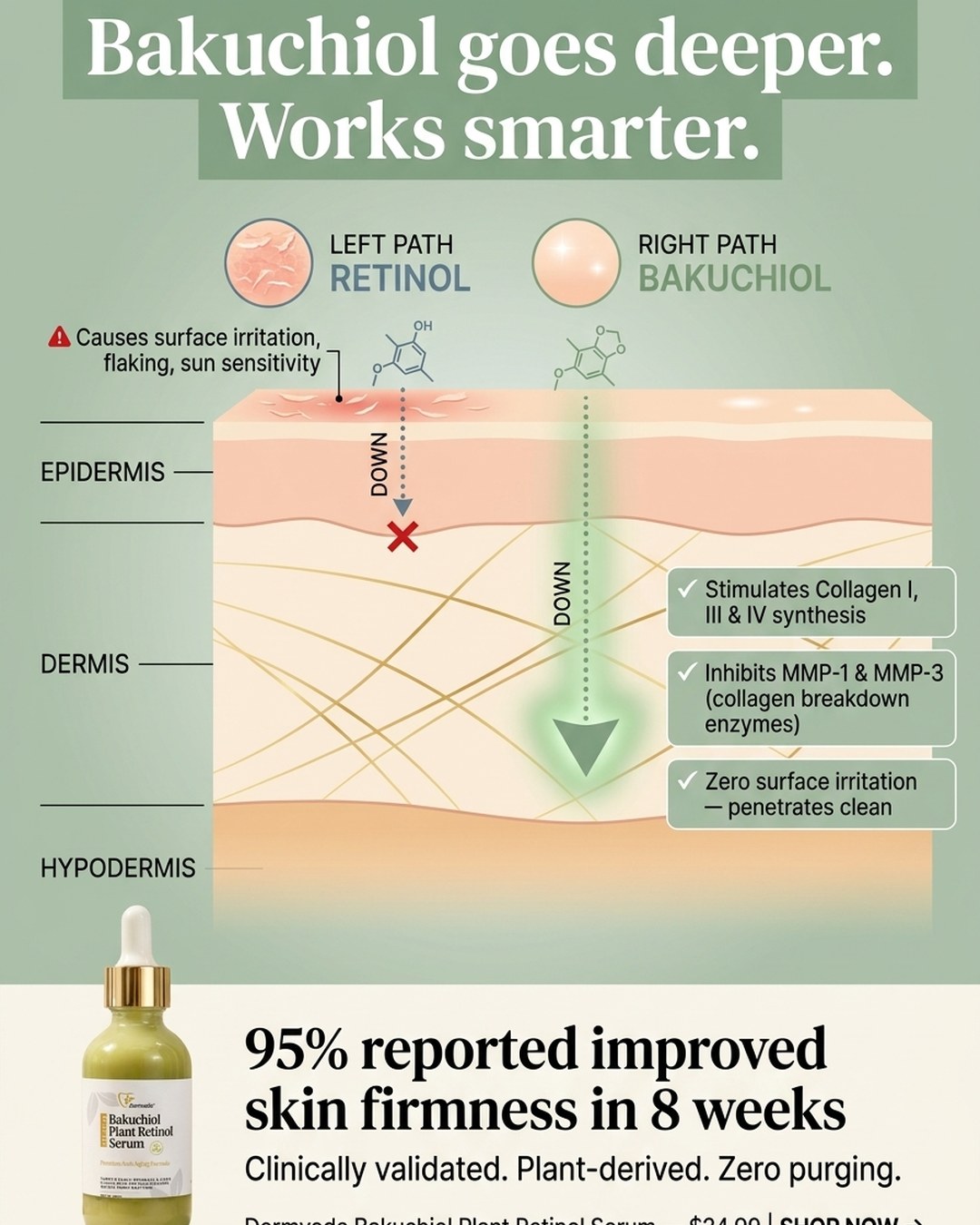 Bakuchiol vs retinol skin penetration diagram — bakuchiol stimulates collagen I, III and IV with zero surface irritation
