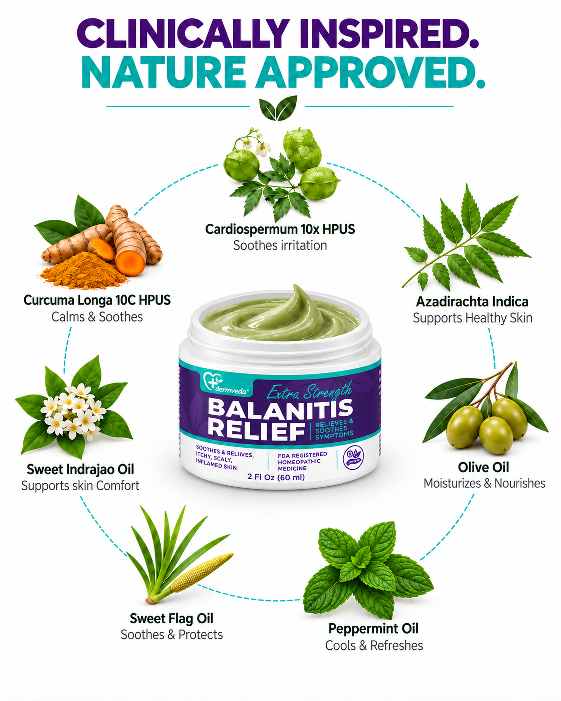 Balanitis cream natural ingredients — cardiospermum 10X HPUS, curcuma longa turmeric, neem, peppermint and sweet flag oils