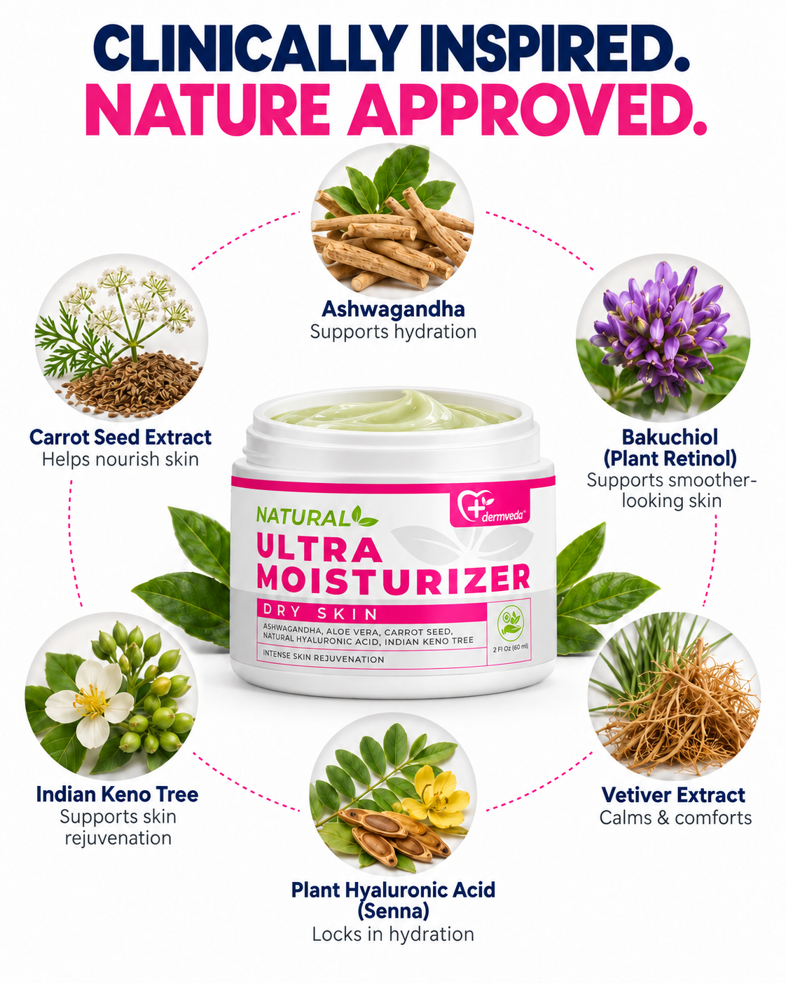 Natural ingredients in Dermveda Ultra Moisturizer — Ashwagandha, Bakuchiol, Vetiver, Plant Hyaluronic Acid, Indian Keno Tree, Carrot Seed