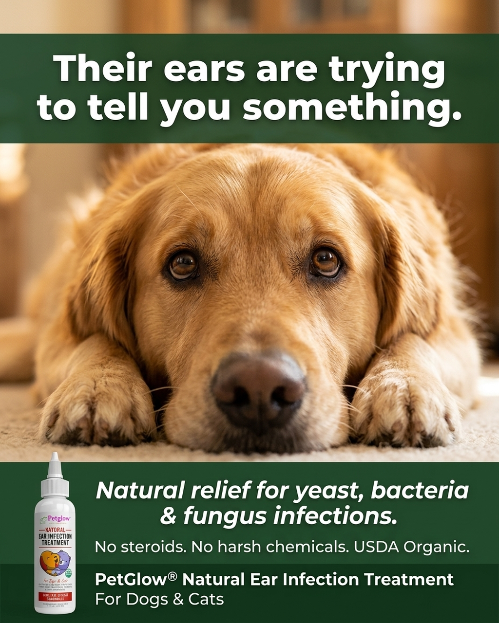 Natural ear solution for dogs and cats — kills yeast, bacteria and fungus with USDA organic formula