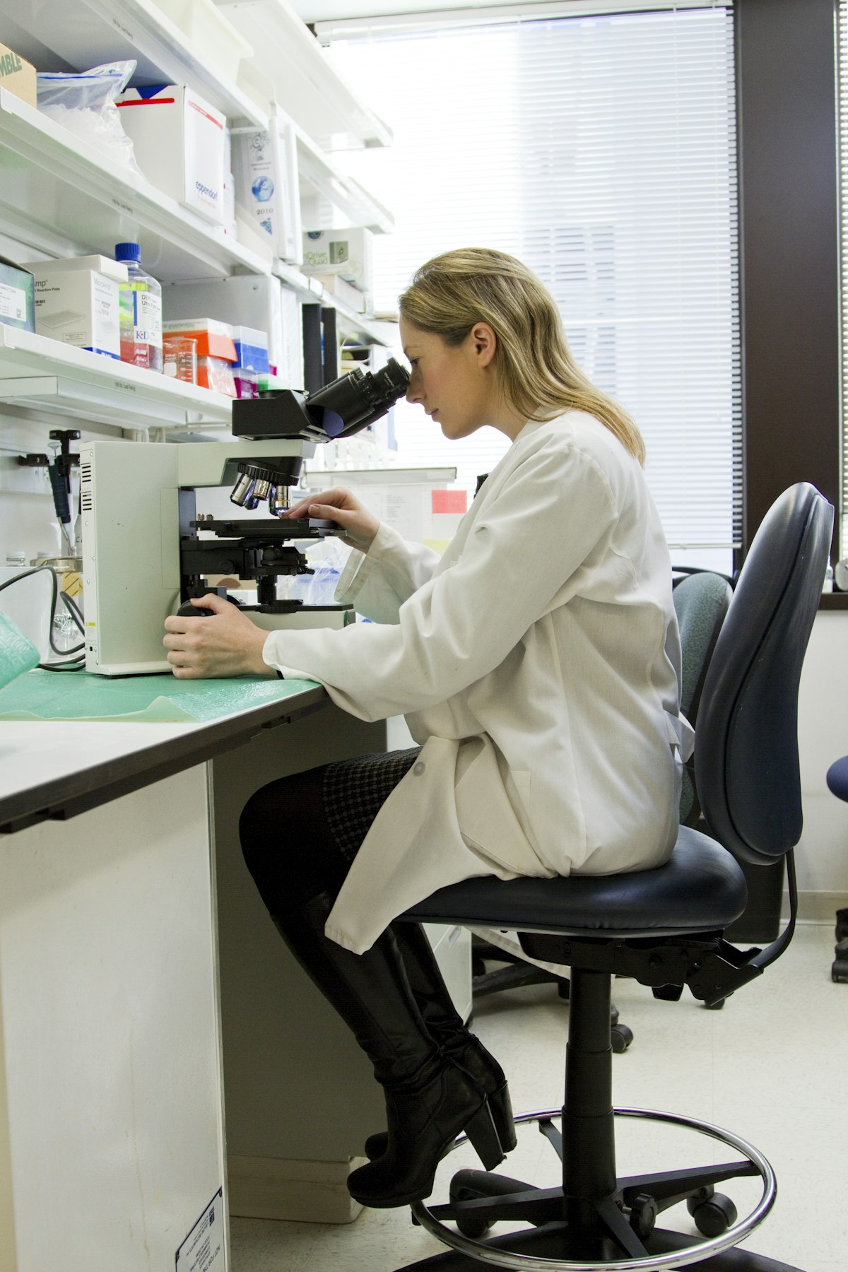 Scientist examining samples under a microscope